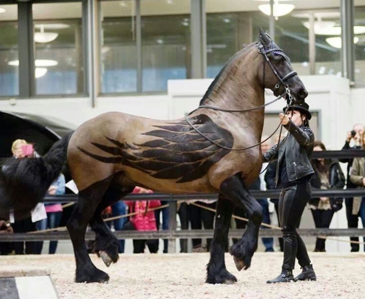 Horse Wings Clippers